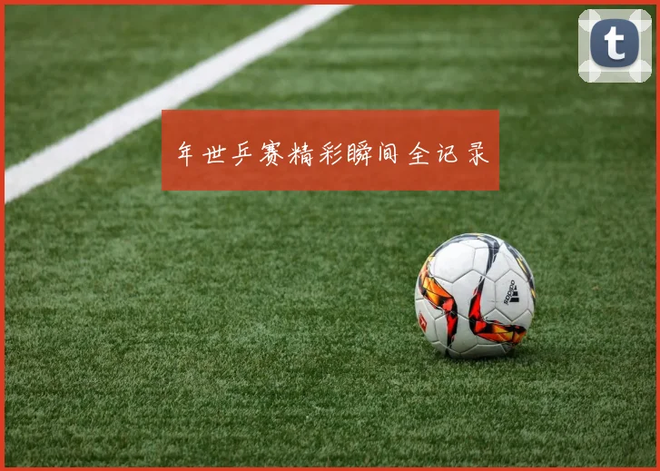 年世乒赛精彩瞬间全记录