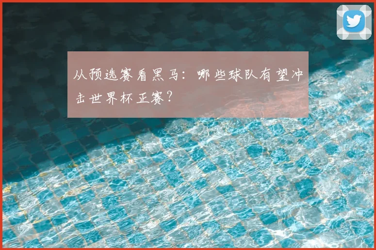 从预选赛看黑马：哪些球队有望冲击世界杯正赛？