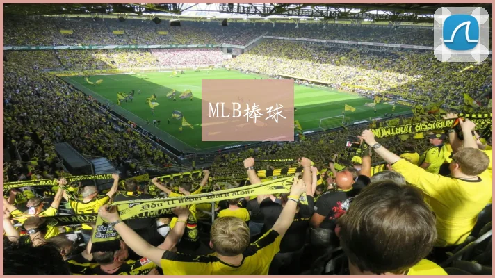 MLB棒球