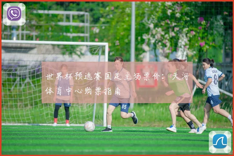 世界杯预选赛国足主场票价：天河体育中心购票指南