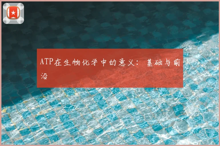 ATP在生物化学中的意义：基础与前沿