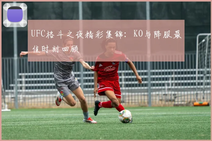 UFC格斗之夜精彩集锦：KO与降服最佳时刻回顾