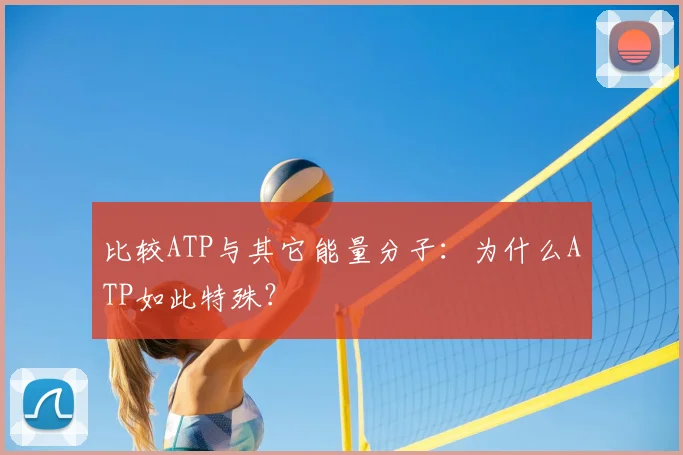 比较ATP与其它能量分子：为什么ATP如此特殊？