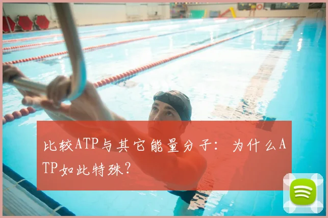 比较ATP与其它能量分子：为什么ATP如此特殊？