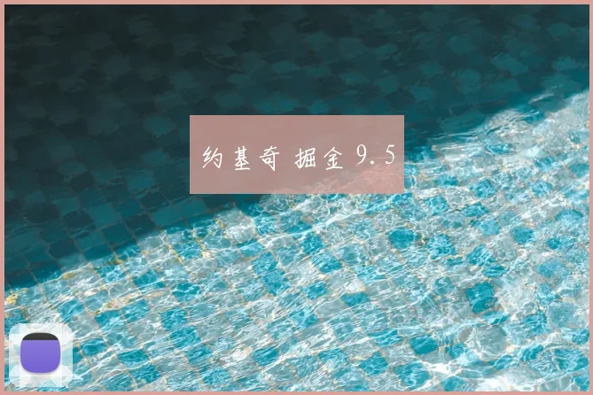 约基奇 掘金 9.5