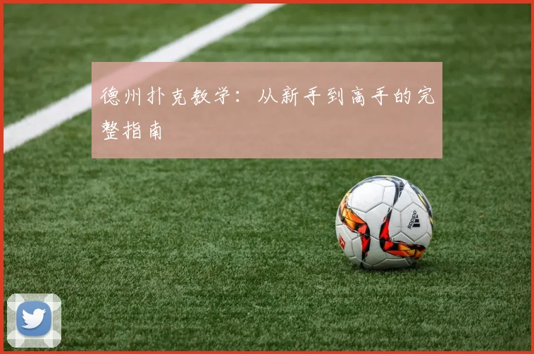 德州扑克教学：从新手到高手的完整指南