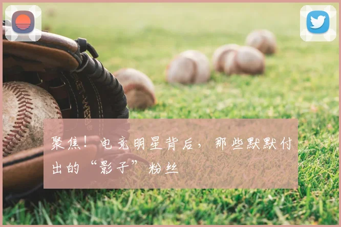 聚焦！电竞明星背后，那些默默付出的“影子”粉丝