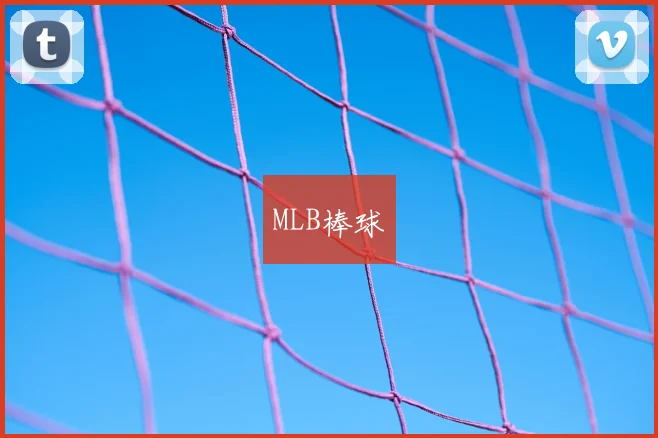 MLB棒球