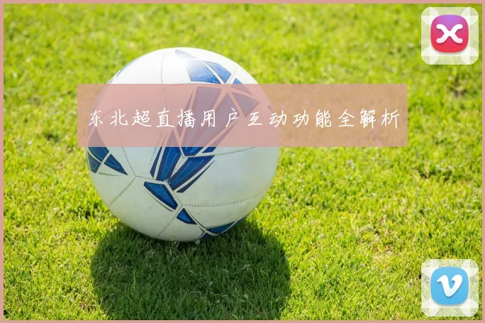 东北超直播用户互动功能全解析