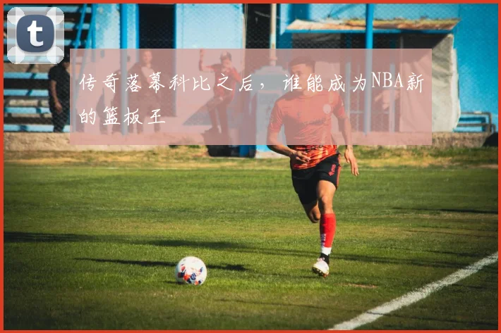 传奇落幕科比之后，谁能成为NBA新的篮板王